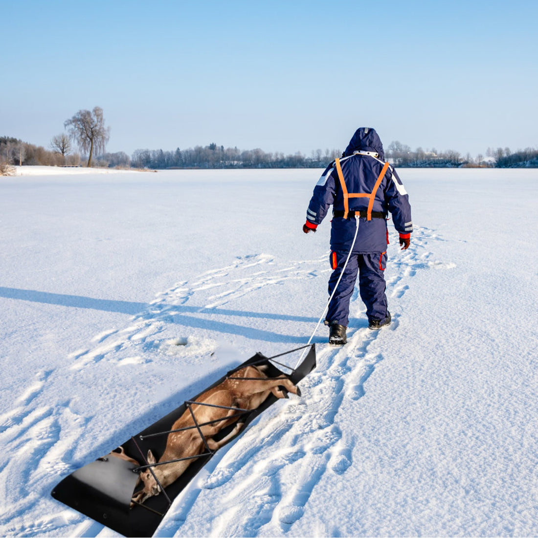 1Pc Deer Drag Sled With Dragging Harness Deer Cart Game Hauler Snow Sledding Pad Hunting Gear Supplies With 32.8FT Black Rope 16.1FT White Rope For Hunting Ice Fishing Hauling Fire Wood